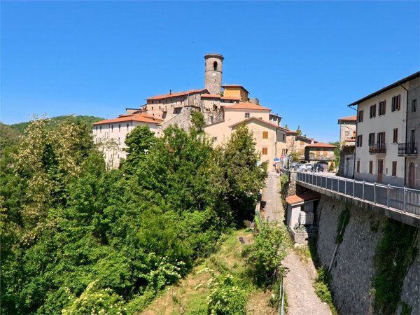 casa indipendente in vendita a Minucciano in zona Gramolazzo