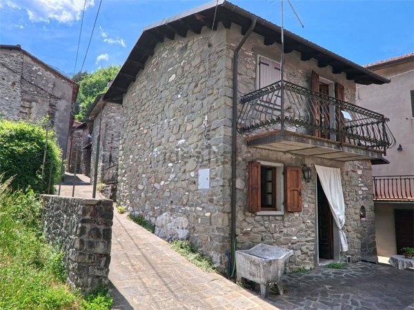 casa indipendente in vendita a Minucciano in zona Gorfigliano