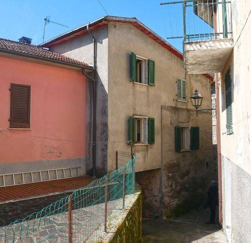 casa indipendente in vendita a Minucciano in zona Pieve San Lorenzo