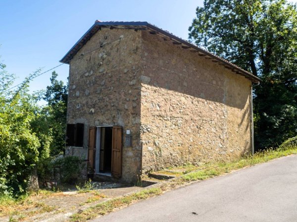 casa indipendente in vendita a Molazzana in zona Brucciano