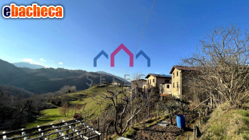 casa indipendente in vendita a Molazzana