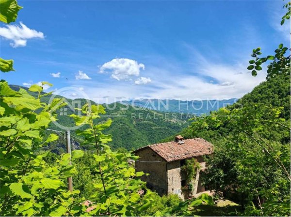 casa indipendente in vendita a Molazzana in zona Alpe Sant'Antonio