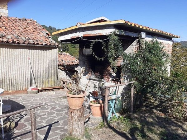 esavano in vendita a Molazzana