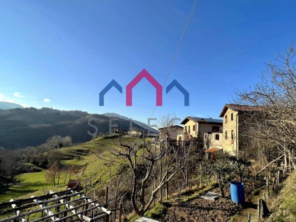 intera palazzina in vendita a Molazzana