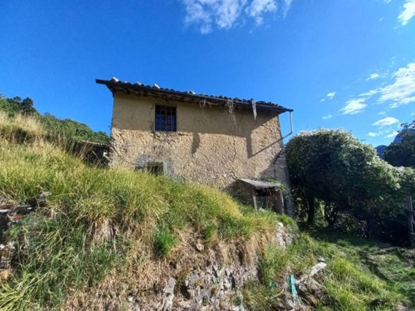 quadrivano in vendita a Molazzana