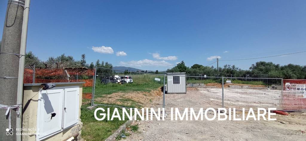 terreno agricolo in vendita a Montecarlo