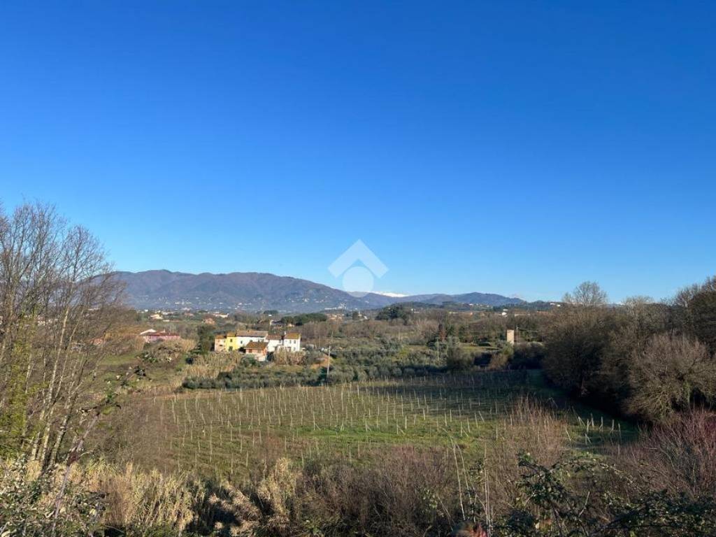 terreno agricolo in vendita a Montecarlo