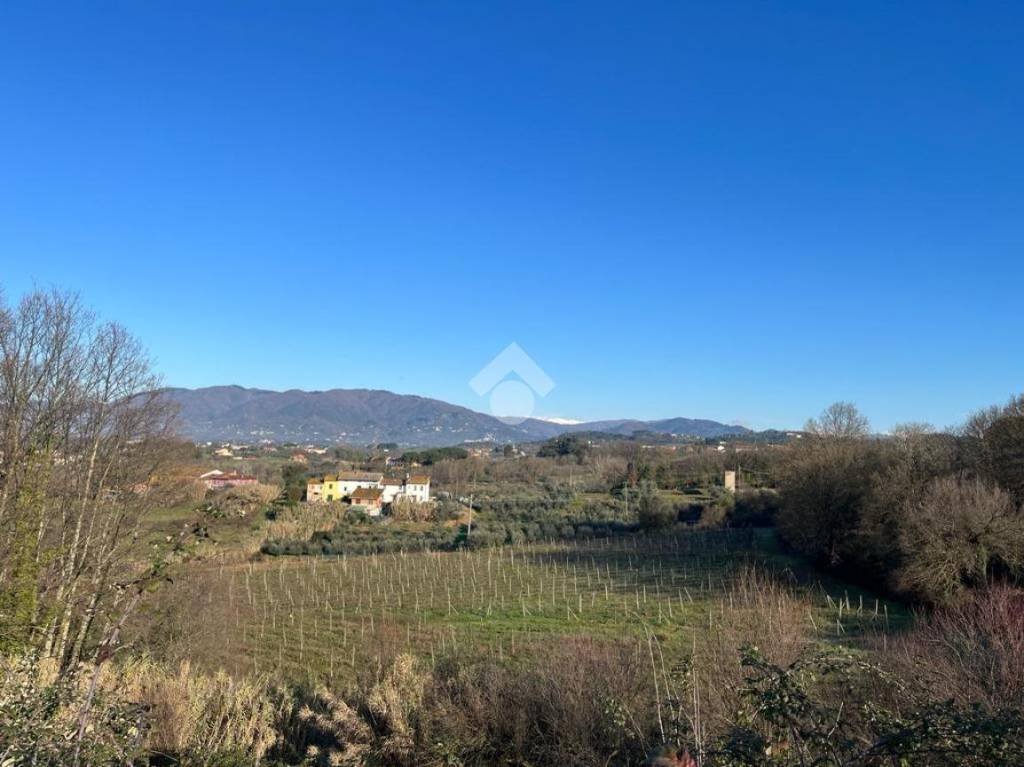 terreno agricolo in vendita a Montecarlo