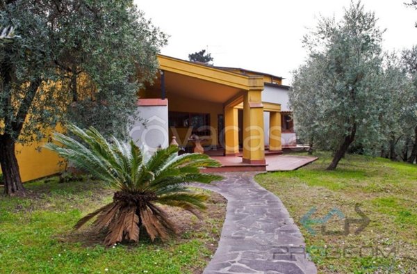 casa indipendente in vendita a Montecarlo