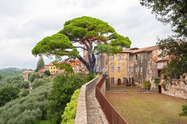 intera palazzina in vendita a Montecarlo
