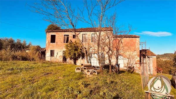 terreno agricolo in vendita a Montecarlo
