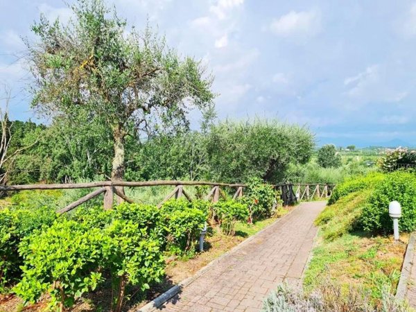 appartamento in vendita a Montecarlo