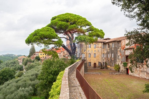villa in vendita a Montecarlo