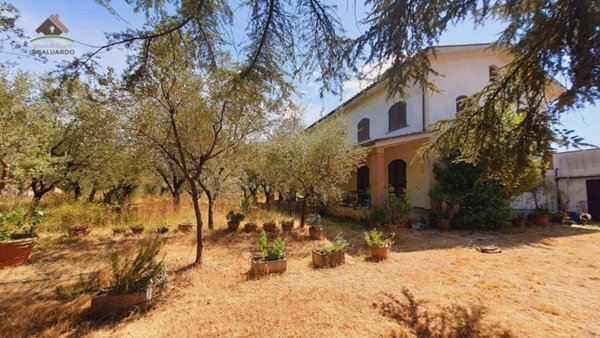 casa indipendente in vendita a Montecarlo