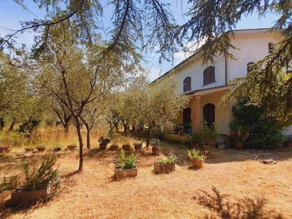 casa indipendente in vendita a Montecarlo