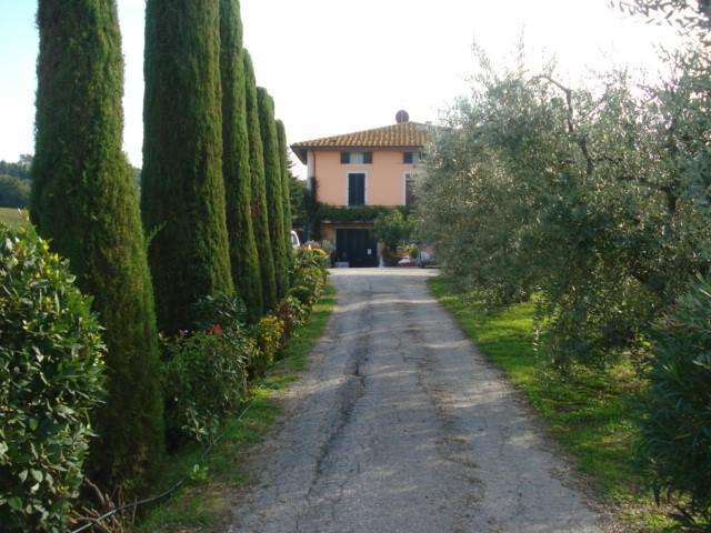 azienda agricola in vendita a Montecarlo