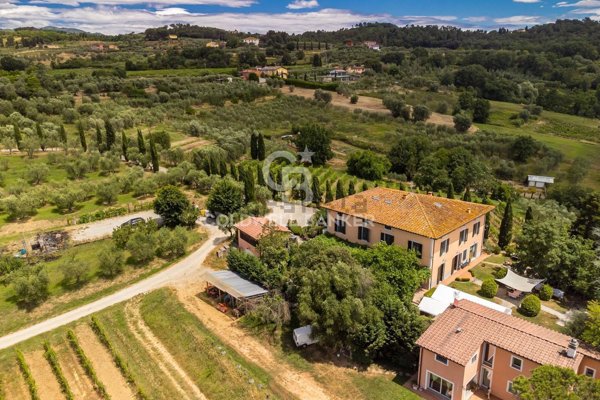 azienda agricola in vendita a Montecarlo