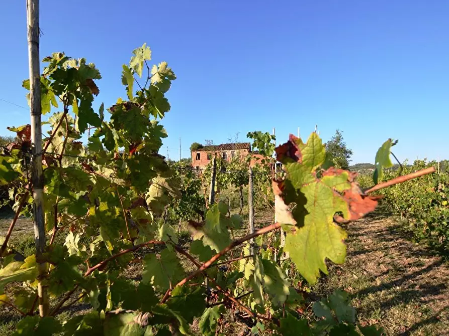 casa indipendente in vendita a Montecarlo
