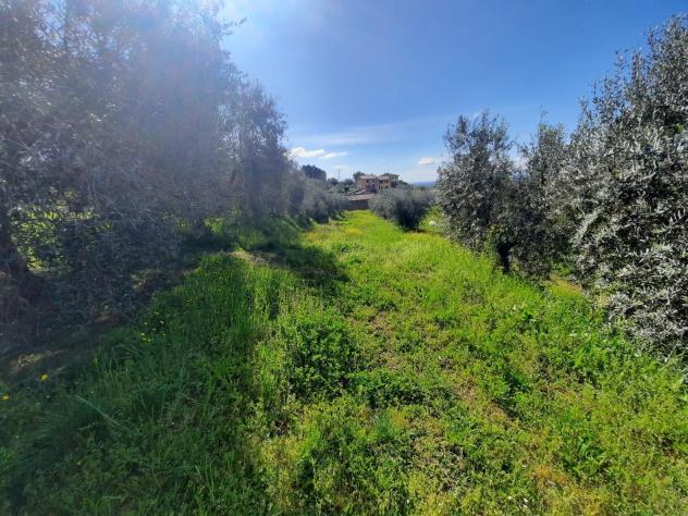 casale in vendita a Montecarlo