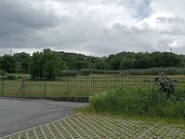 terreno agricolo in vendita a Montecarlo