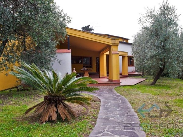 casa indipendente in vendita a Montecarlo