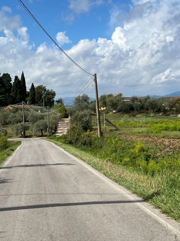 esavano in vendita a Montecarlo