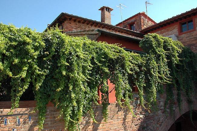 casa indipendente in vendita a Montecarlo