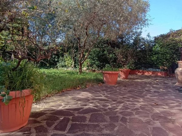 casa indipendente in vendita a Montecarlo