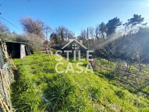 terreno agricolo in vendita a Montecarlo