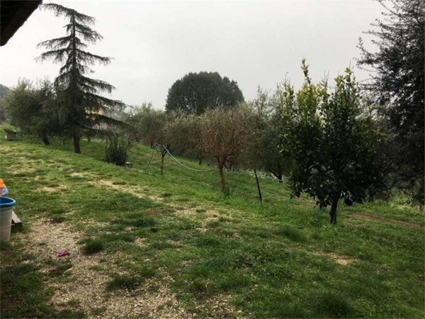 casa indipendente in vendita a Montecarlo