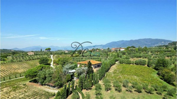 azienda agricola in vendita a Montecarlo