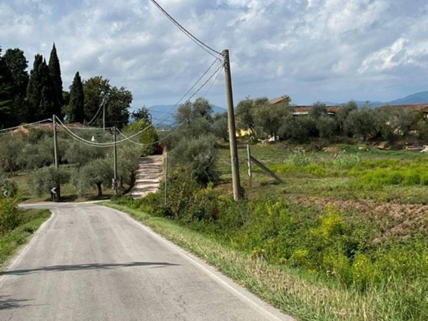 casa indipendente in vendita a Montecarlo