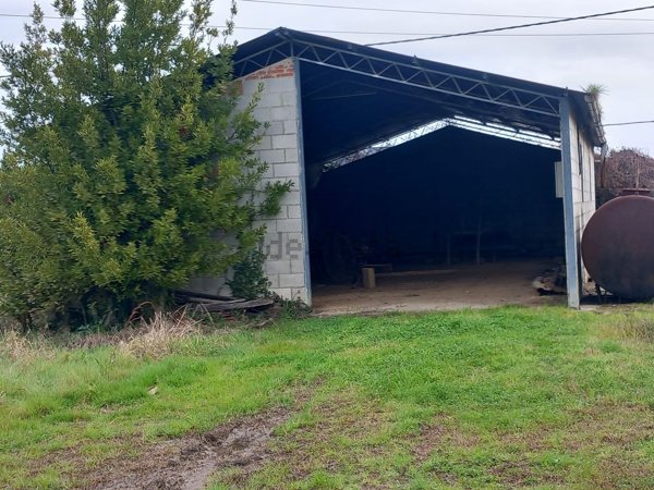 terreno agricolo in vendita a Montecarlo