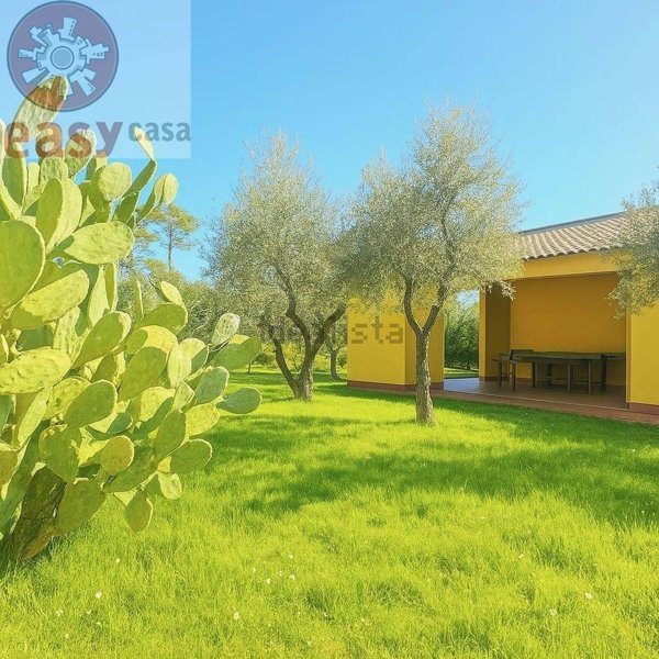 casa indipendente in vendita a Montecarlo