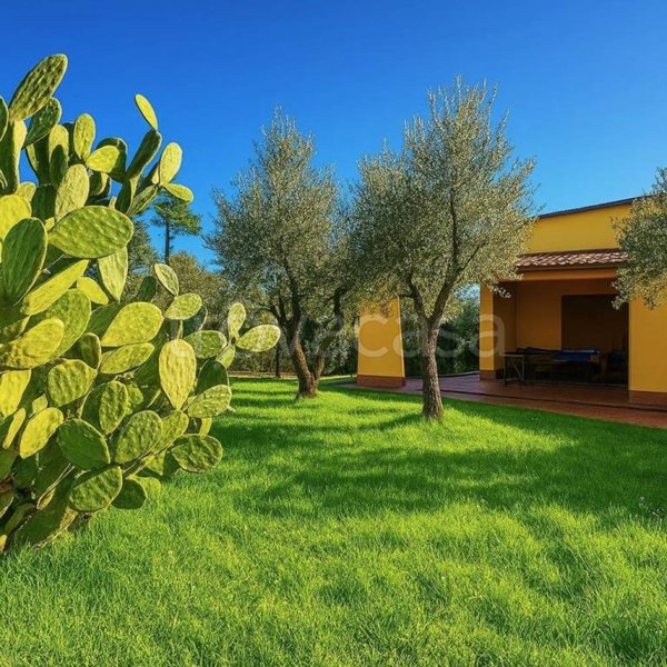 casa indipendente in vendita a Montecarlo