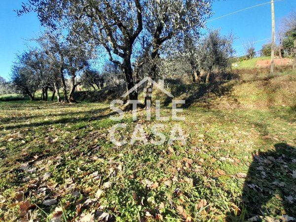 terreno in vendita a Montecarlo