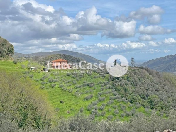 casa indipendente in vendita a Pescaglia in zona San Martino in Freddana