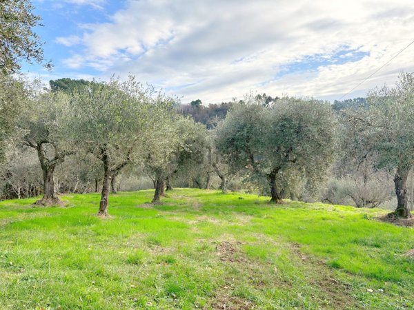 quadrivano in vendita a Pescaglia