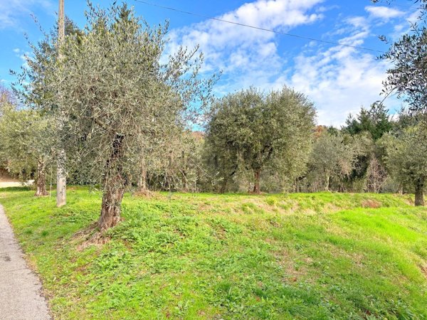 quadrivano in vendita a Pescaglia