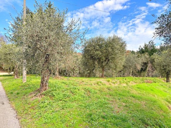 casa indipendente in vendita a Pescaglia