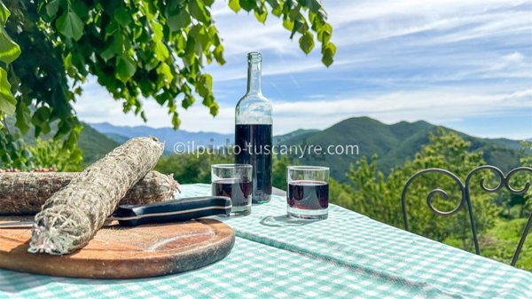 casale in vendita a Pescaglia