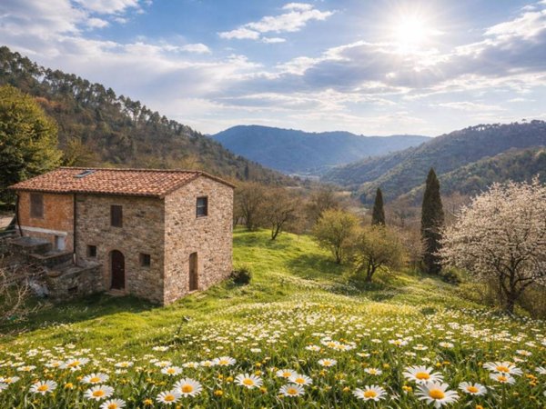 casa indipendente in vendita a Pescaglia