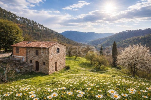 casa indipendente in vendita a Pescaglia