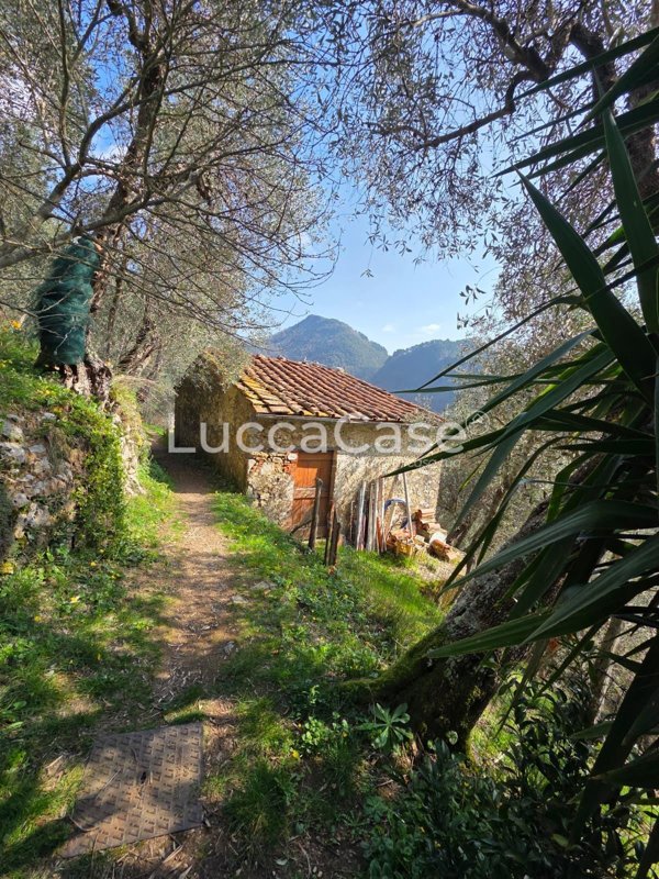 appartamento in vendita a Pescaglia