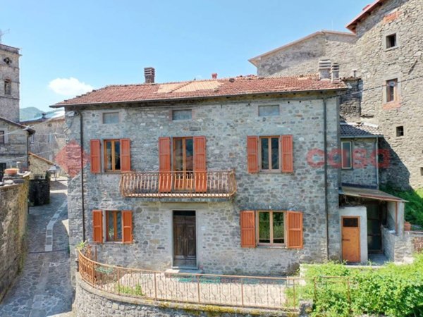 casa indipendente in vendita a Piazza al Serchio in zona Nicciano