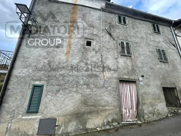casa indipendente in vendita a Piazza al Serchio in zona Cogna