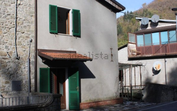 casa indipendente in vendita a Piazza al Serchio in zona Vergnano