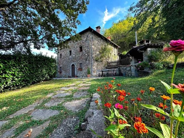 casa indipendente in vendita a Piazza al Serchio in zona San Michele