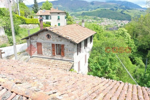 casa indipendente in vendita a Piazza al Serchio in zona Nicciano