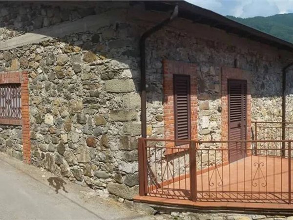 casa indipendente in vendita a Piazza al Serchio in zona San Michele
